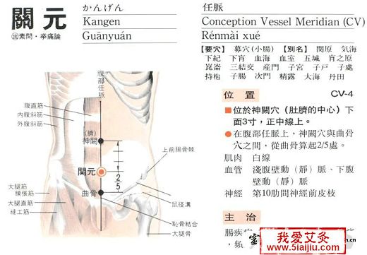 点击将在新窗口查看全图 五种肥胖的中医艾灸减肥新方法【附图文】